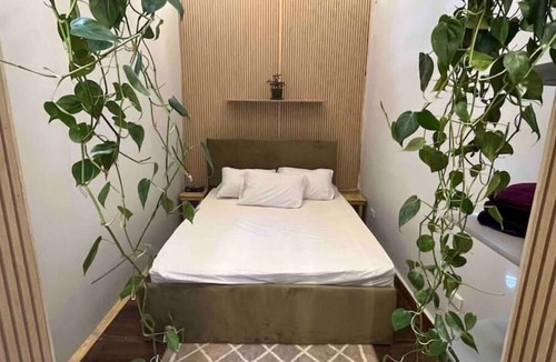 Garden City Apartment | Welcome to The Greenhouse