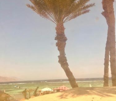 Dahab Bed & Breakfast | Leonessa's Villa