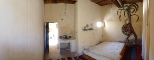 Siwa Bed & Breakfast | siwa desert museum hotel