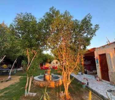 Tunis Village Hotel | ع السنتريك كامب AlCientrick Camp
