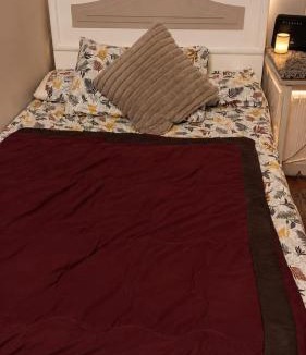 Nasr City Apartment | الحديقه الدوليه للفندقه الفاخره المطله على الحديقه مباشر