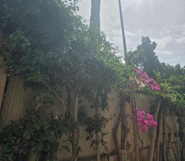6th of October City Apartment | ستوديو سكنى