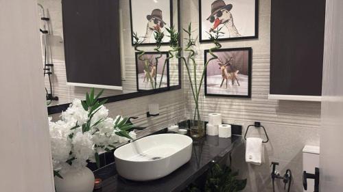 Nasr City Apartment | الماسة للشقق الفندقيه مدينه نصر