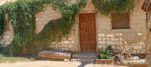 Siwa Bed & Breakfast | Siwa desert museum Hotel