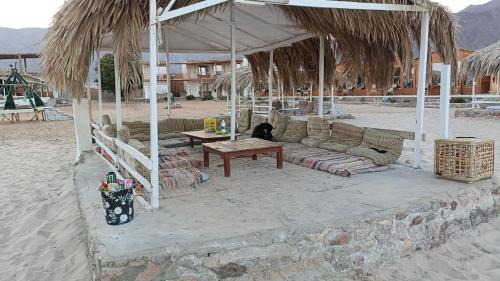 Nuweiba House | Nuweiba Sea View Camp نويبع سي ڤيو كامب