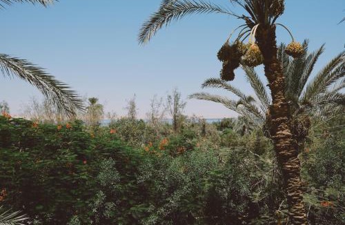 Tunis Village Bed & Breakfast | Slow Tunis