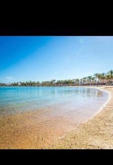 Al Mamsha El Seyahi Apartment | Studio Apartment with Pool View in Alhambra Avenue South