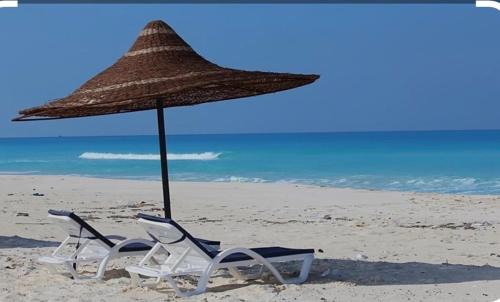 Al-'Amriyah Hotel | U North Coast
