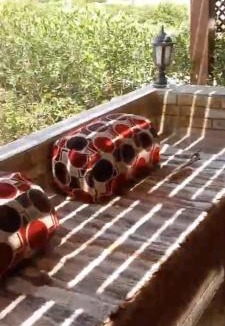 Ras Sudar Bed & Breakfast | Sea view chalet with meals