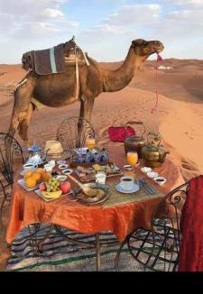 15th of May City Hotel | Hotels in Ḩulwān, Egypt