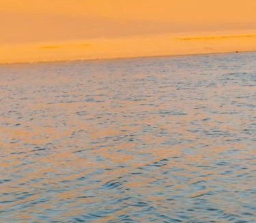 Al Fayoum Other | Fayoum Safari, Sandboarding & Camping