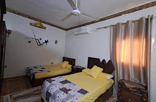 Abu Simbel Apartment | Al Sharif Hotel Apartments