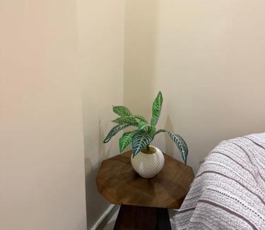 Mansoura Apartment | المنصوره الجلاء شارع منتصر