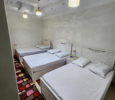 Mansoura Apartment | Luxury apartment facing Mansoura University