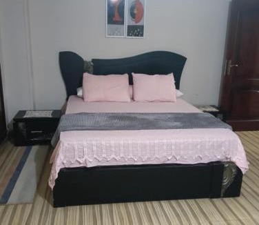 Mansoura Apartment | شقة على النيل المنصورة