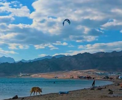 Dahab Other | New Tent خيمة جديدة