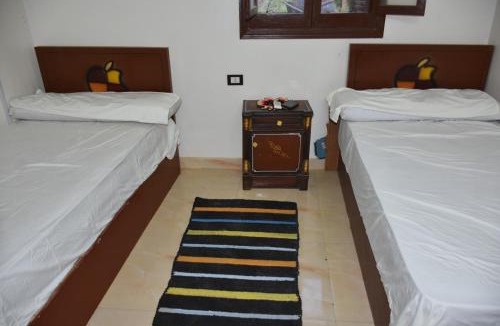 Aswan Bed & Breakfast | Nobal best house