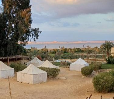 Tunis Village Bed & Breakfast | Tunis Camp Fayoum
