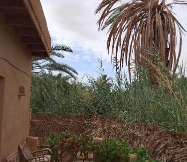 Siwa Hostel | Tianya Hostel Siwa 锡瓦天涯青年旅舍