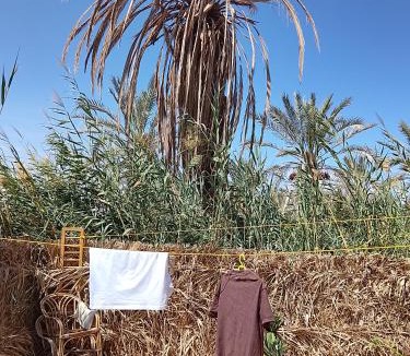 Siwa Hostel | Tianya Hostel Siwa 锡瓦天涯青年旅舍