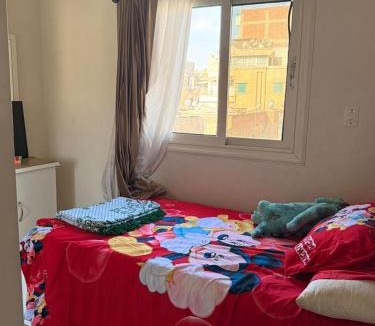 Downtown Cairo Apartment | شقه غرفتين قريبه من المترو