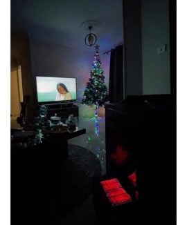 Nasr City House | Cozy