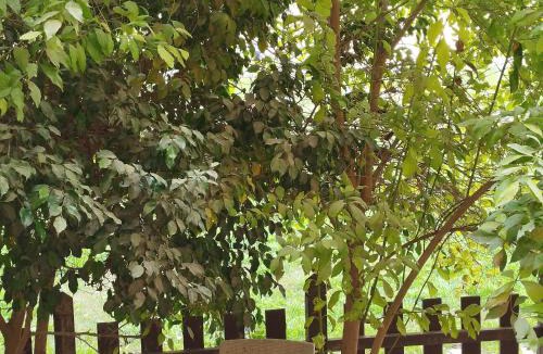 Madinaty House | Madinaty summer cottage