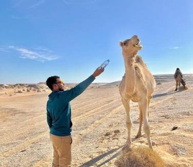 Shurtah al-Farafirah Other | Cairo 2-Day Bahariya Oasis Camp and Desert Tour