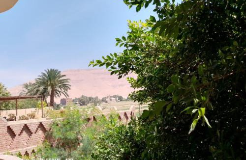 Luxor Apartment | Mountain View