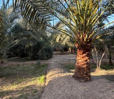 Siwa Cabin | Siwa Gardenia Cottage