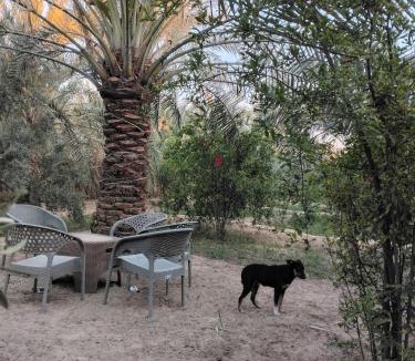 Siwa Cabin | Siwa Gardenia Cottage