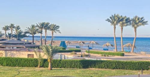 Zafarana Apartment | Studio with pool view at Bella Vista resort sokhna