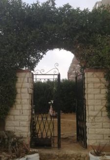 Ras Sudar Cabin | Villa Sayed