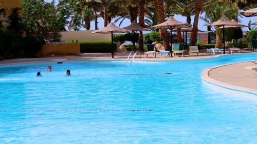 Al Ahyaa Hotel | Palma Resort Vacation Homes