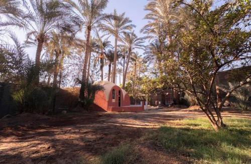 Saqqara Apartment | Khan Saqqara - Private place Steps from Saqqara Pyramid
