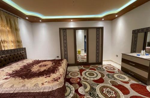 Sheikh Zayed City Apartment | Flower city