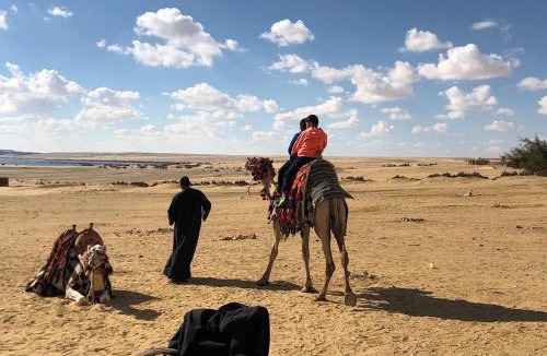 Al Fayoum Resort | safarova tours