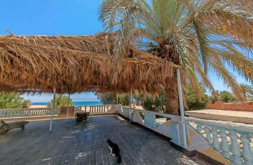 Nuweiba Hotel | blue Bird