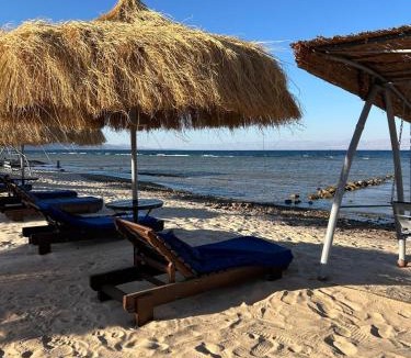 Nuweiba Other | Free Beach Camp