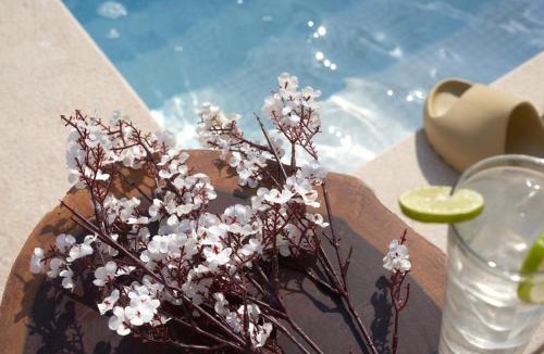 Wadi El Natrun Resort | Remal Wellness Resort