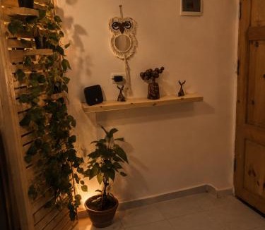 Dahab Apartment | Lara's studio in Dahab