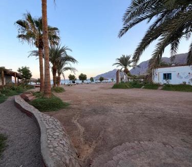 Nuweiba Other | Palm Valley camp