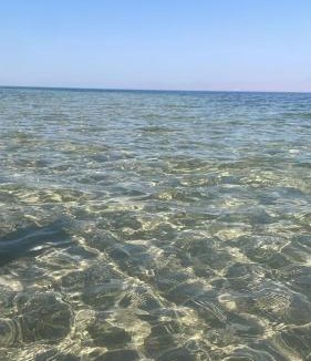 Nuweiba Hotel | Bab el donia camp