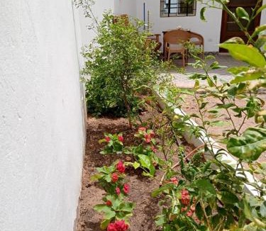 Dahab Apartment | Cozy Nest Dahab
