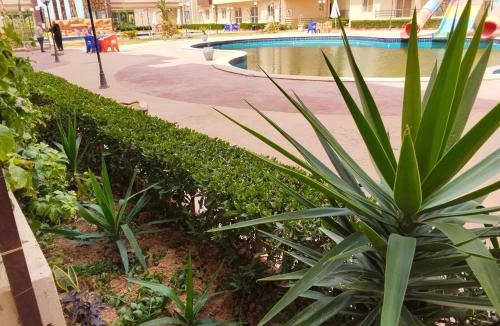 Qetaa Maryout Apartment | منتجع جوليانا الساحل الشمالى , الكيلو65 الساحل الشمالى, طريق اسكندرية-مرسى مطروح , مركز الحمام , محافظة مطروح