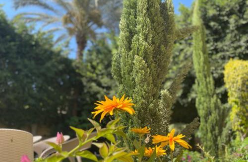 Mobarak City Villa | Royal Mariout Villa Private Pool & Garden, King Mariout Alexandria