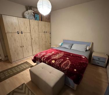 Maadi Apartment | Peaceful Sunlit Retreat in Maadi
