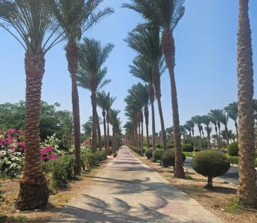 Port Ghalib Apartment | Modern apartment with pool view in Port Ghalib