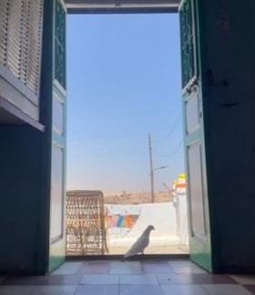 Sohag Hostel | Safeya Kato
