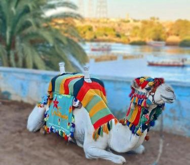 Aswan Apartment | Traveliano Guest House